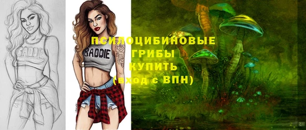 герыч Алзамай