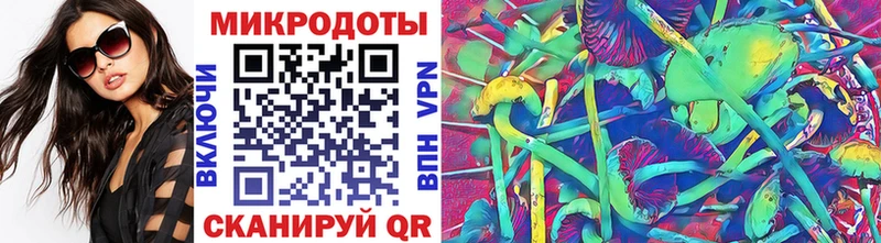 Галлюциногенные грибы Psilocybe наркота Осинники