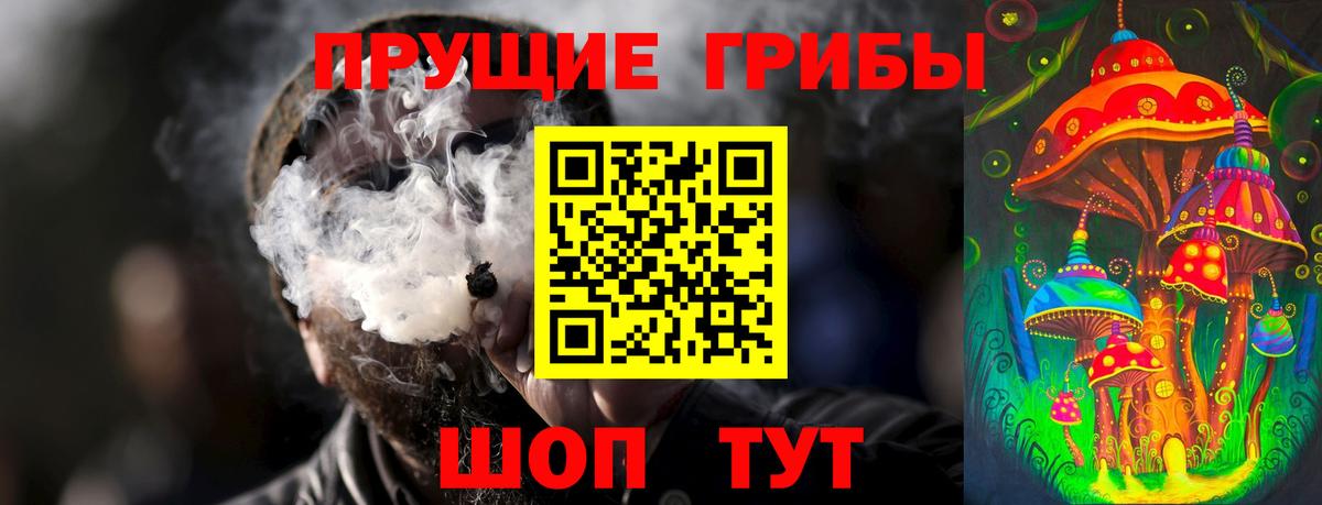 Псилоцибиновые грибы Psilocybe  Вход с VPN  Псилоцибиновые грибы мицелий  Осинники 