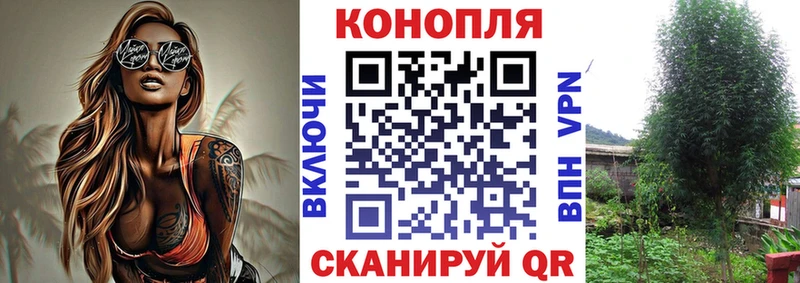 купить  сайты  Осинники  Шишки марихуана конопля 
